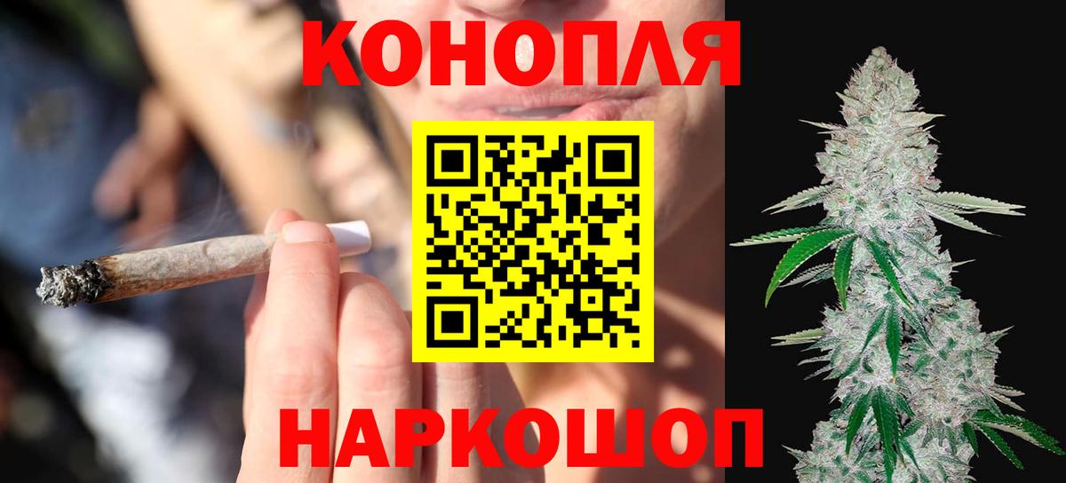 Каннабис план Фролово