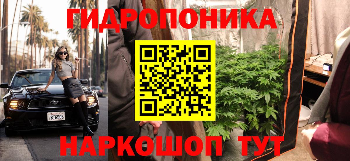 Каннабис гибрид  Канабис сатива  Фролово  Вход с VPN  Канабис план 
